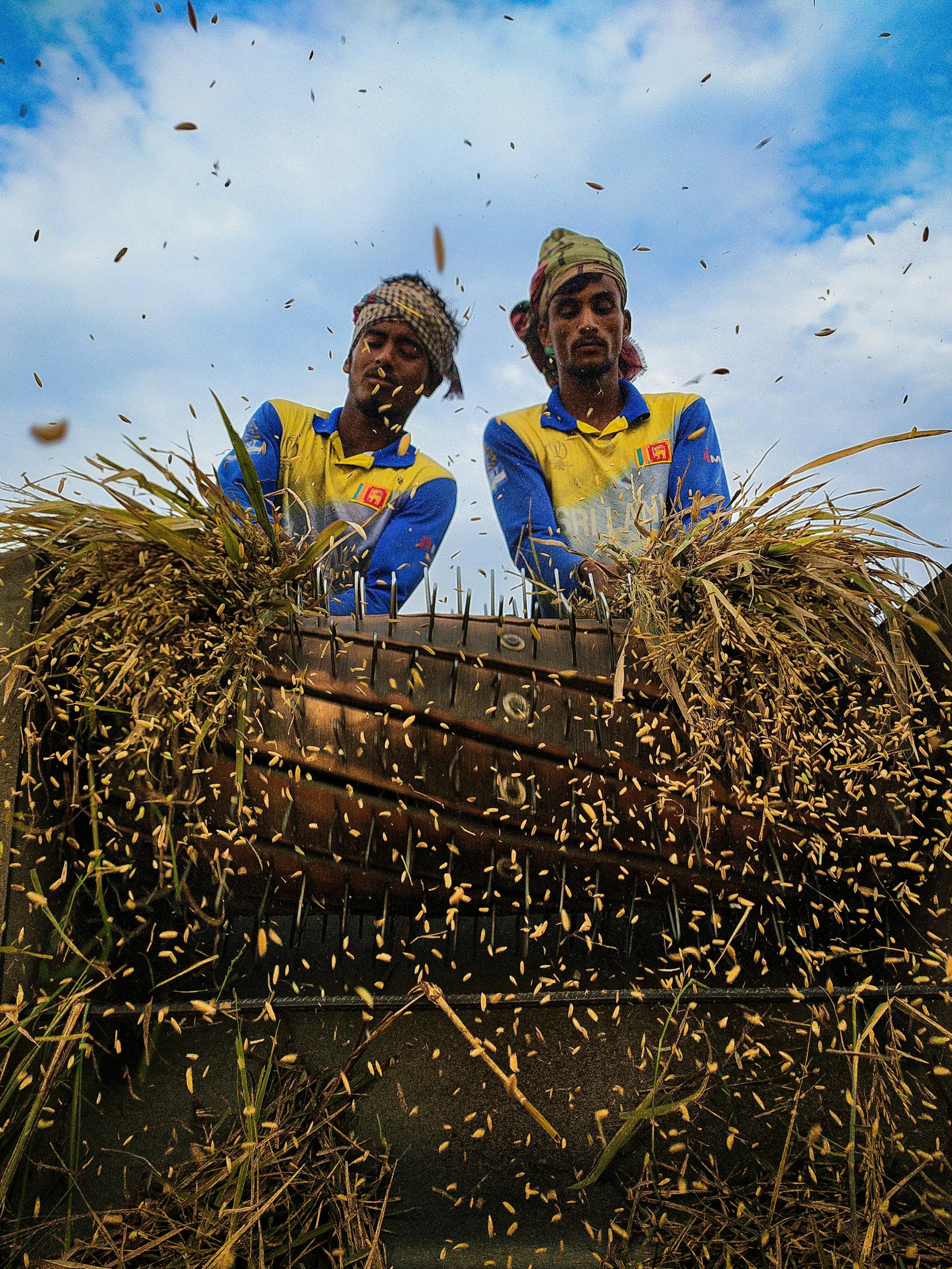 Biogas Reactor Cooling